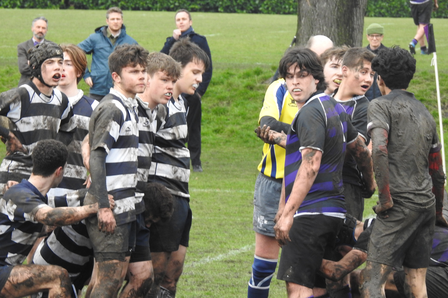 DSCN5757.jpg