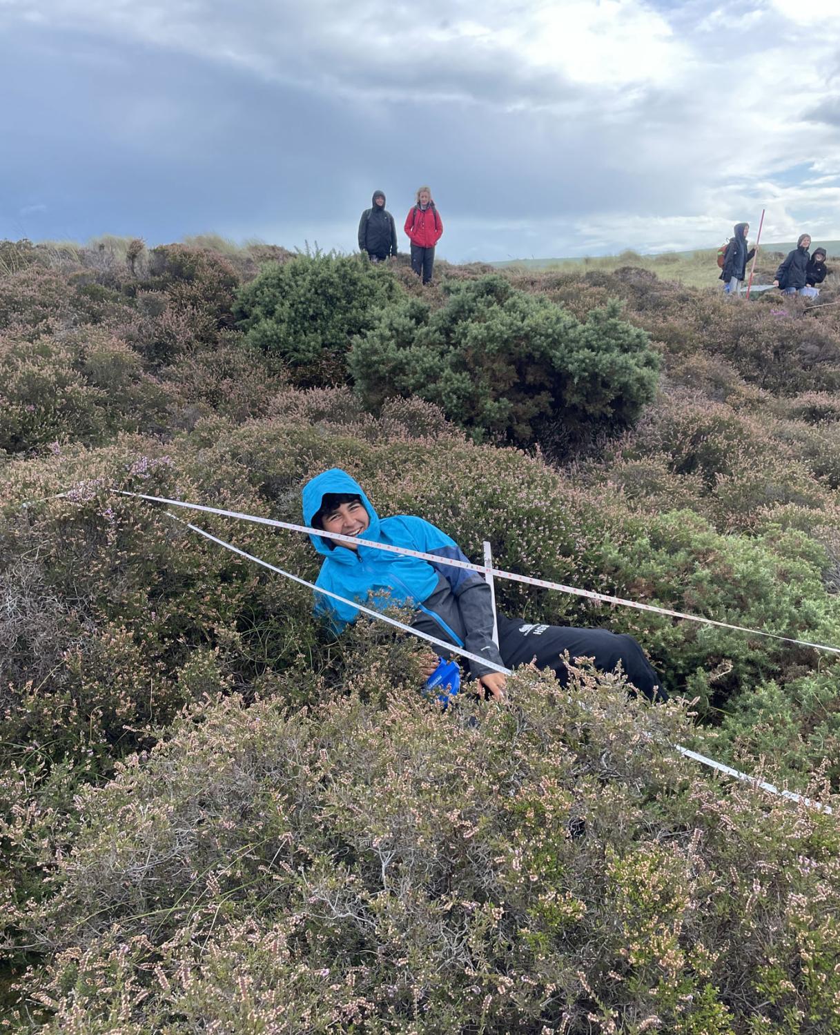 In the Heather