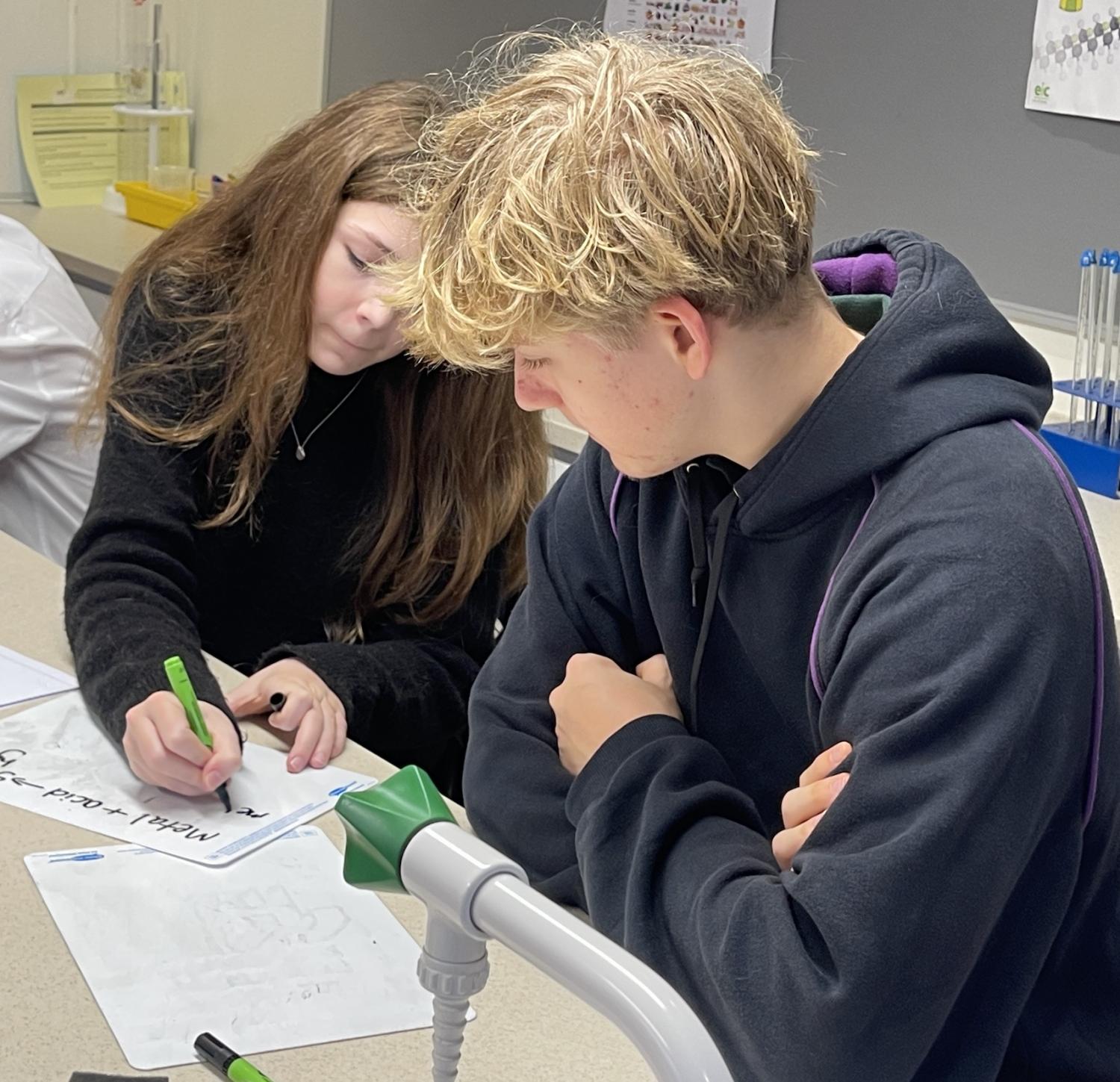 Buddies in 15s Science