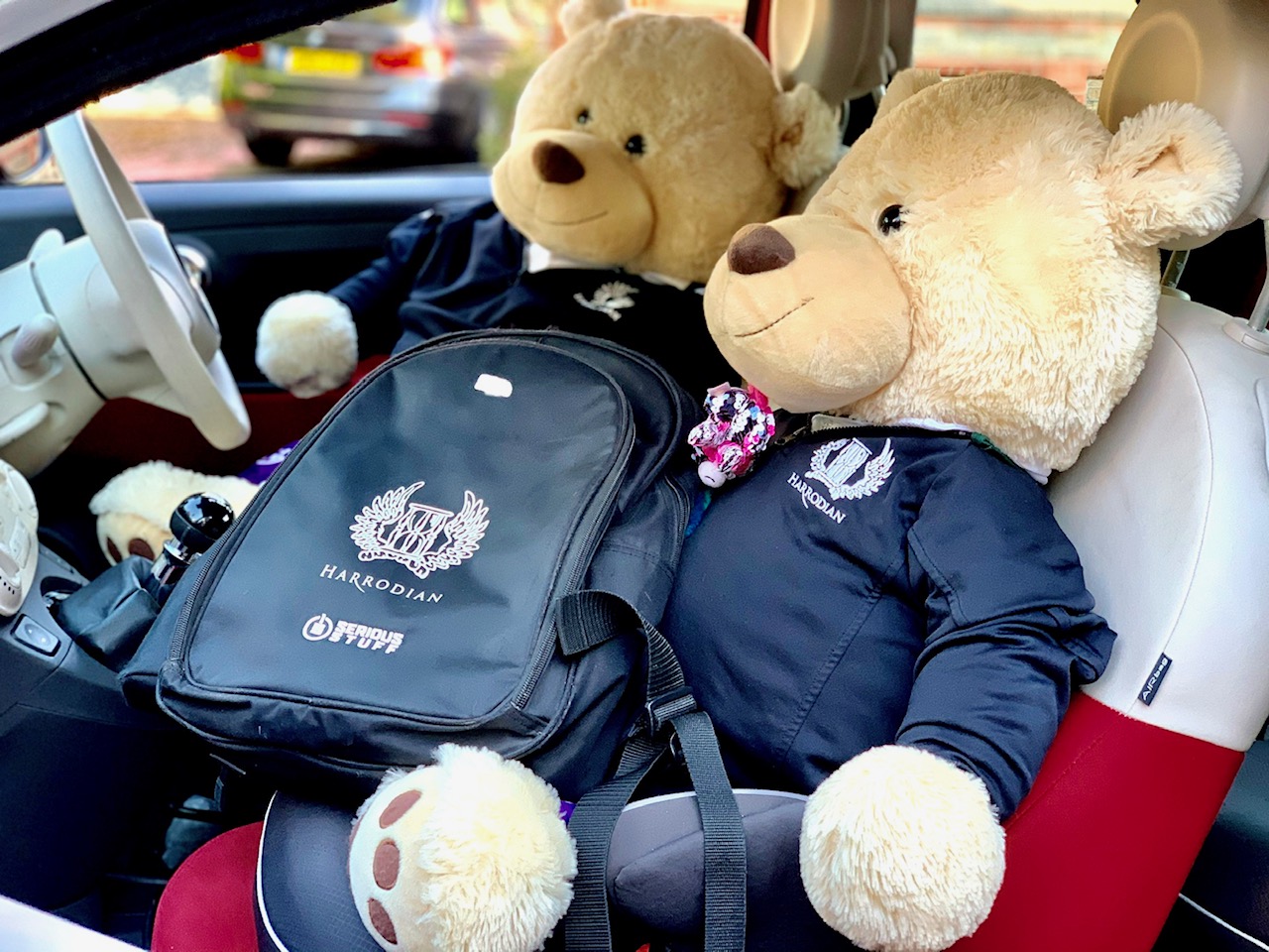 Florence%20and%20Isobel%20-%20bears%20in%20a%20car%20story%201.jpg
