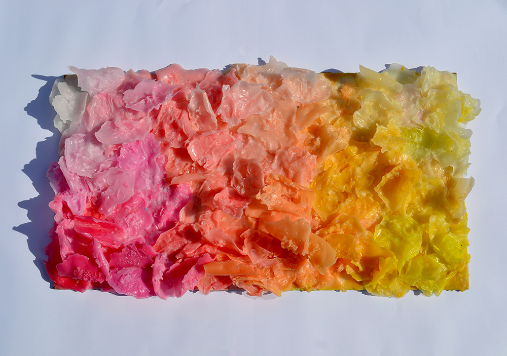Biba's%20coral.jpg