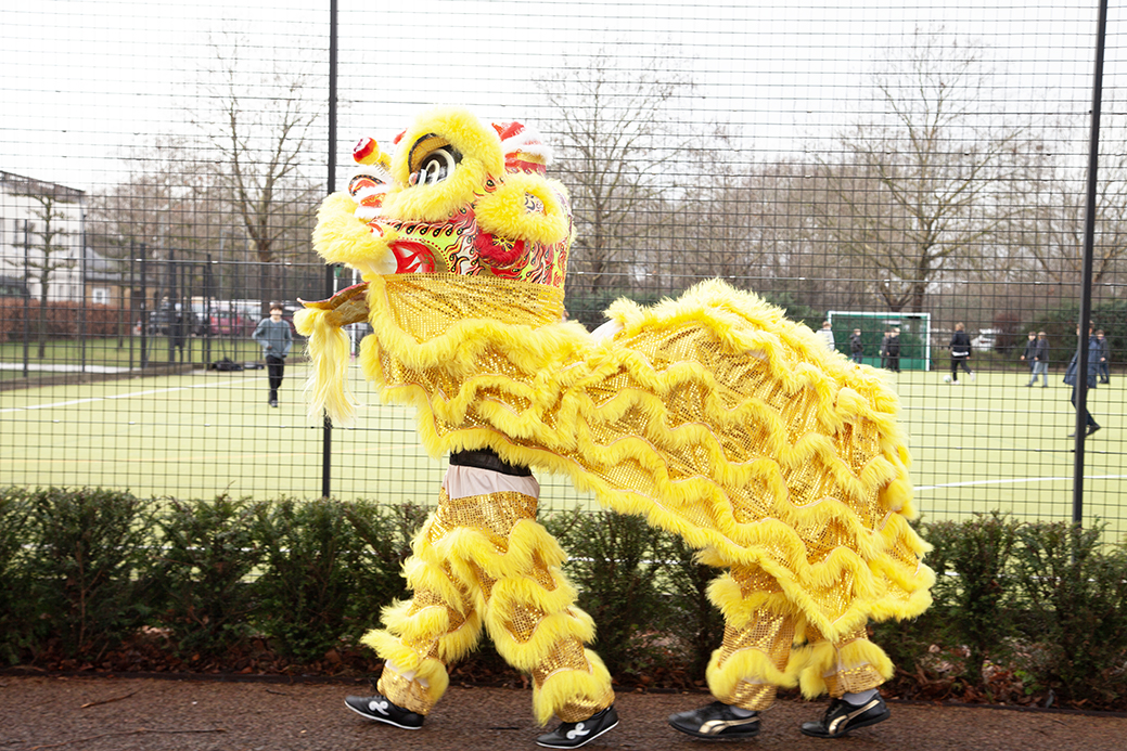 lion
