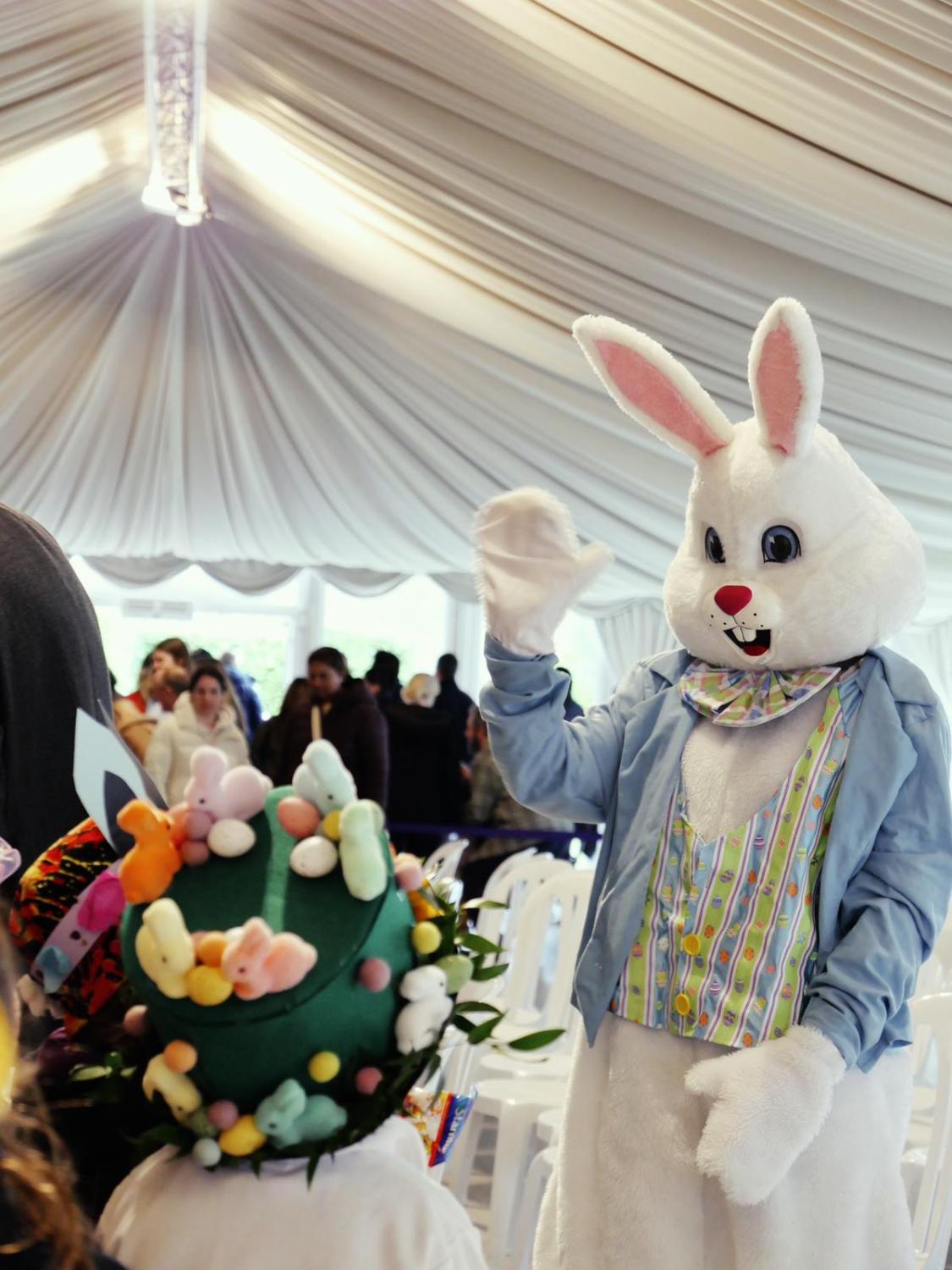 bunny