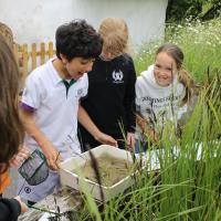 Trip to the Wetlands Centre in Barnes, June 2021 9s