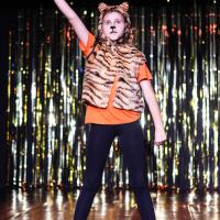Dance show