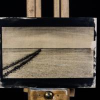 Cycle of Life and Nature by James Goldsmith, Silver Gelatine printed on wood