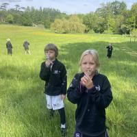 PP2 Painshill Park trip May 2023