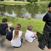 PP2 Painshill Park trip May 2023