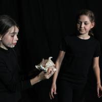 Drama Showcase Gallery, June 2024