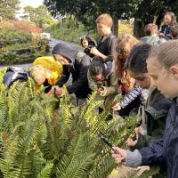 10s Kew Trip 2024