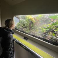 10s Kew Trip 2024