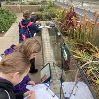 10s Kew Trip 2024