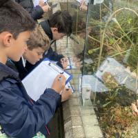 10s Kew Trip 2024
