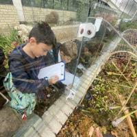 10s Kew Trip 2024