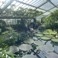 10s Kew Trip 2024