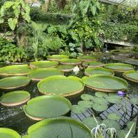 10s Kew Trip 2024