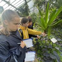 10s Kew Trip 2024