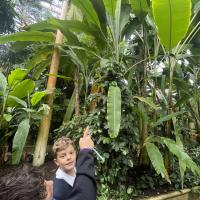 10s Kew Trip 2024