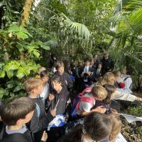 10s Kew Trip 2024