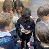 10s Kew Trip 2024