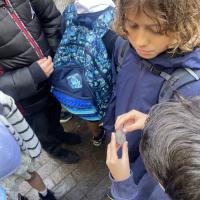 10s Kew Trip 2024