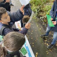 10s Kew Trip 2024