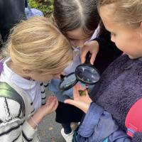 10s Kew Trip 2024