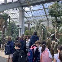 10s Kew Trip 2024