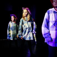 Dance Show November 2024