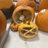 Pumpkin carving Final designs