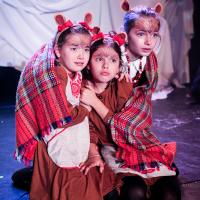 The Lion, the Witch and the Wardrobe November 2024