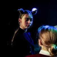 The Lion, the Witch and the Wardrobe November 2024
