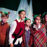The Lion, the Witch and the Wardrobe November 2024