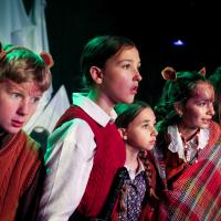 The Lion, the Witch and the Wardrobe November 2024