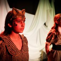 The Lion, the Witch and the Wardrobe November 2024