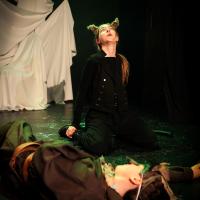 The Lion, the Witch and the Wardrobe November 2024