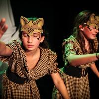 The Lion, the Witch and the Wardrobe November 2024
