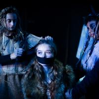 The Lion, the Witch and the Wardrobe November 2024