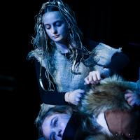 The Lion, the Witch and the Wardrobe November 2024