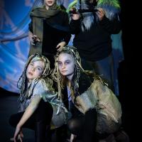 The Lion, the Witch and the Wardrobe November 2024