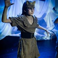 The Lion, the Witch and the Wardrobe November 2024