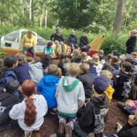 Bushcraft Wild Things June 2025