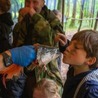 Bushcraft Wild Things June 2025
