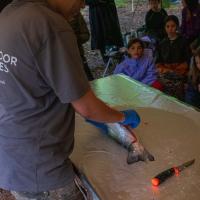 Bushcraft Wild Things June 2025