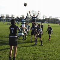 First XV Rugby v ACS Cobham