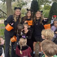 Senior Prefect Halloween cats