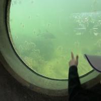 Kew Garden Pre-Prep Trip May 2022