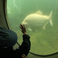 Kew Garden Pre-Prep Trip May 2022
