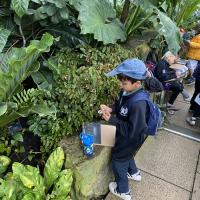Kew Garden Pre-Prep Trip May 2022