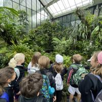 Kew Garden Pre-Prep Trip May 2022